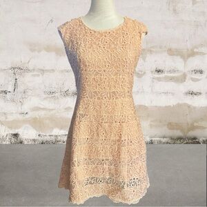 3:00pm Espresso Lace Mini Dress in Soft Pink Size Small